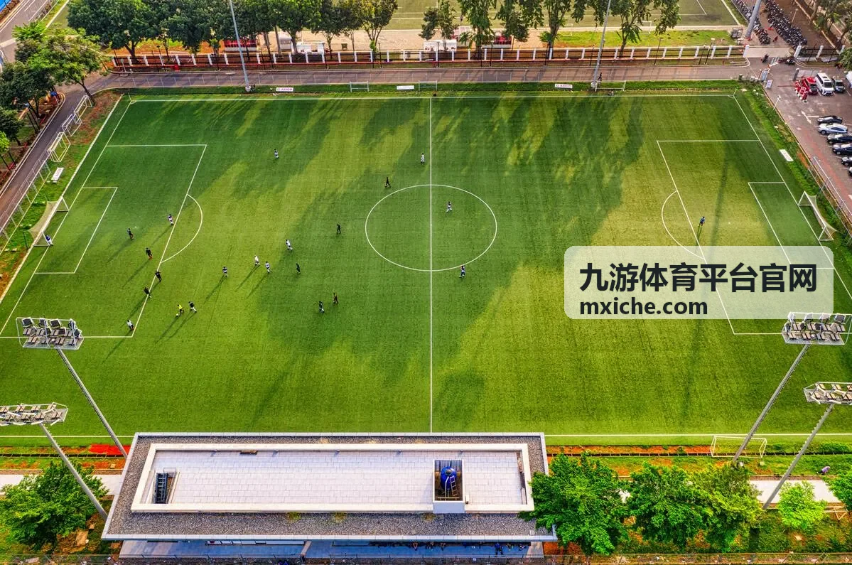 九游体育平台官网技术统计面板示意