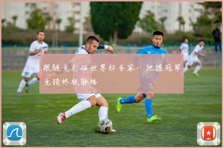 跟随竞彩猫世界杯专家，把握冠军竞猜终极脉络